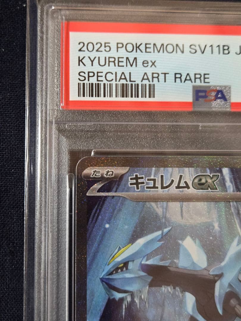キュレムex SAR PSA10