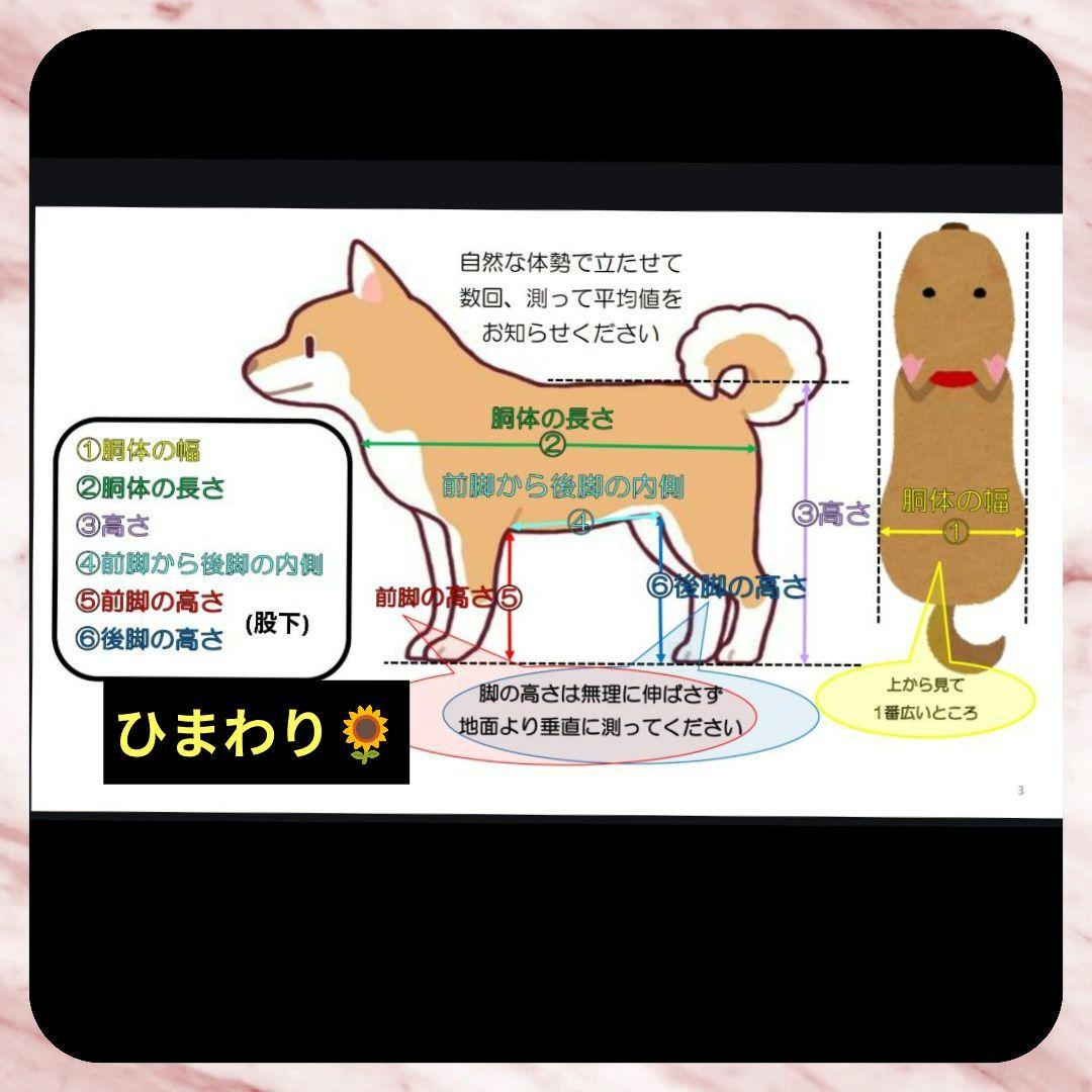 ワンちゃん4輪　トイプー等　リハビリ　食事補助　犬用車椅子　体制維持　犬の歩行器