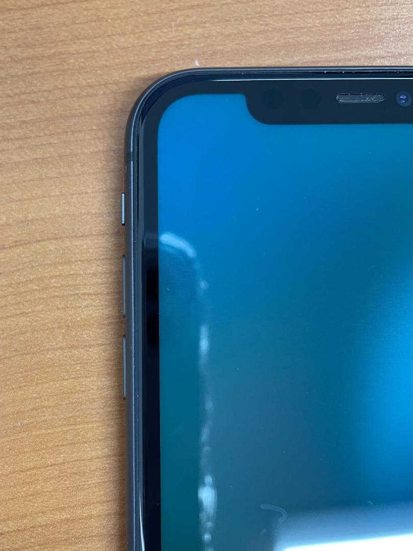 寺*田様 動作確認済み iPhone 11 64GB ID:T9061