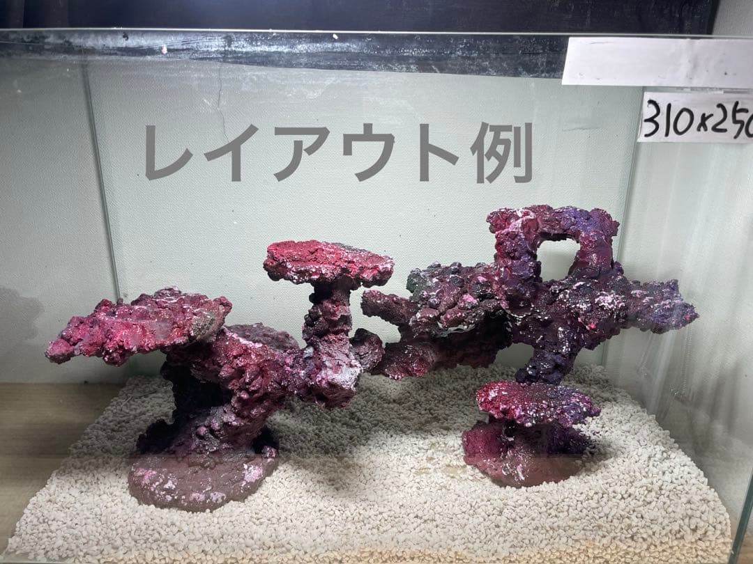 現物在庫SALE！人工ライブロック RR66 アク抜き済み安心塗料使用