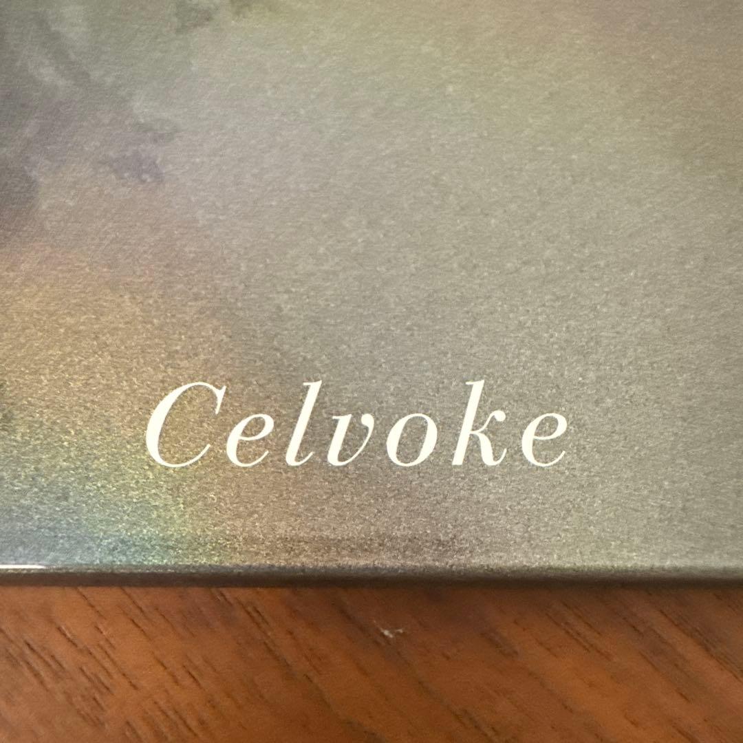 Celvoke セルヴォーク　エクスプレッジヴ　リップス　EX01