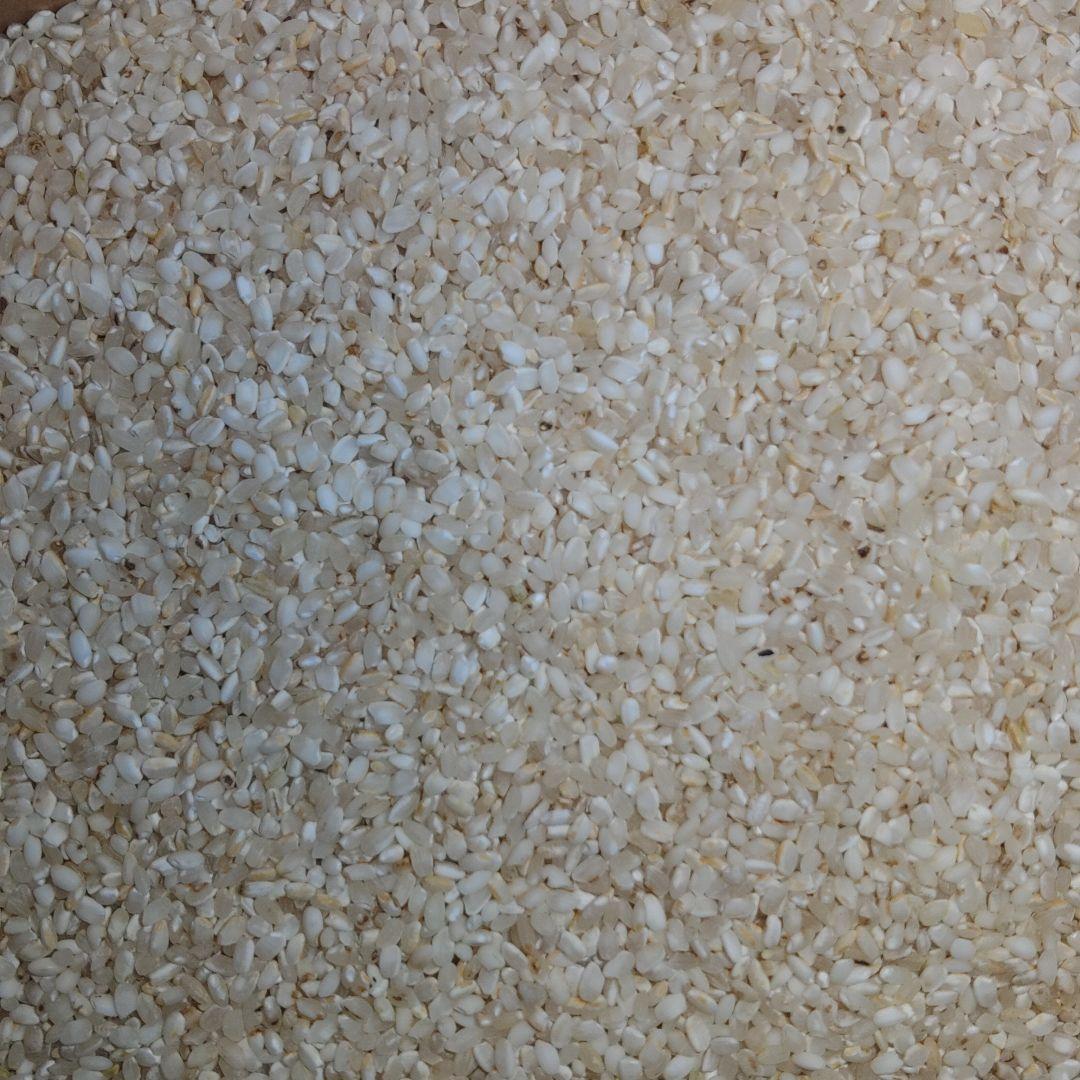 くず米　24kg　【飼料用】