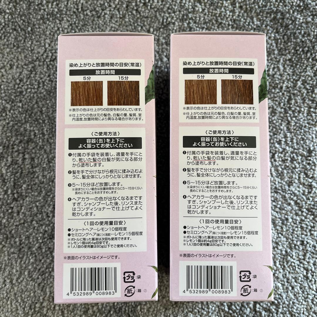 ヘアボーテ　エクラ　ボタニカル　エアカラーフォーム2本セット