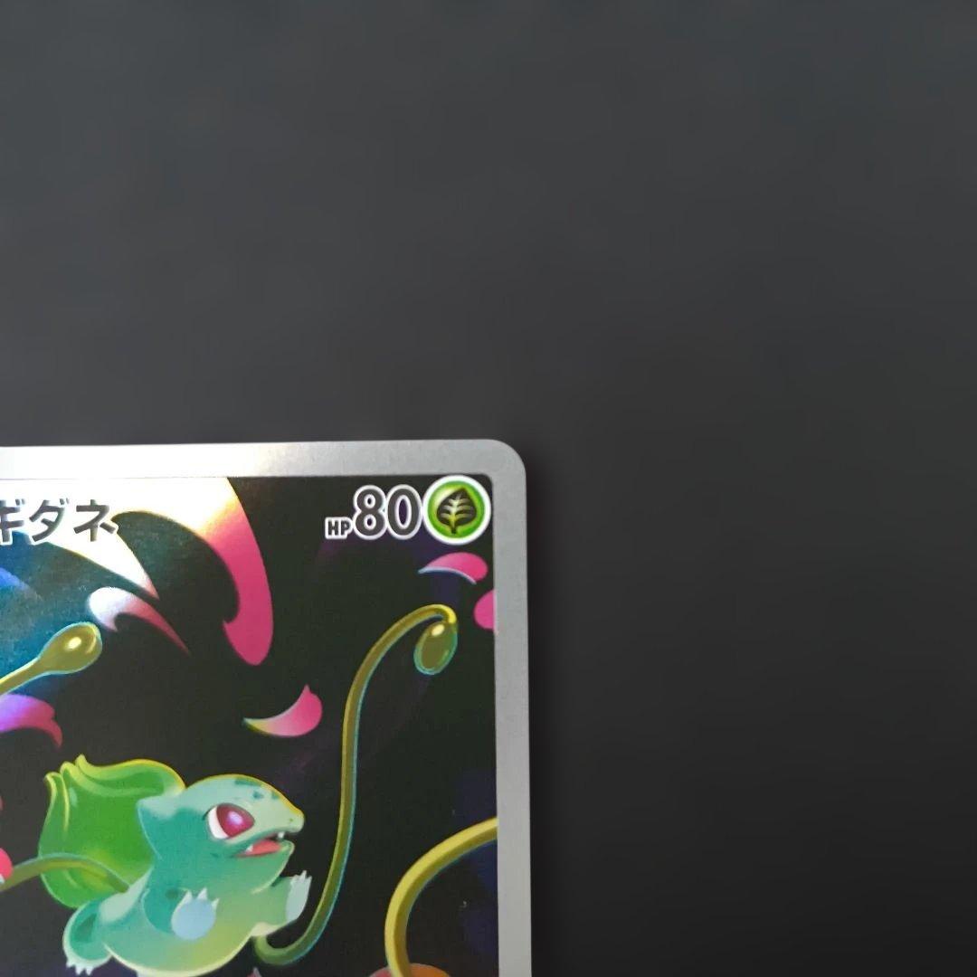 フシギダネ　フシギソウ　メガフシギバナEX