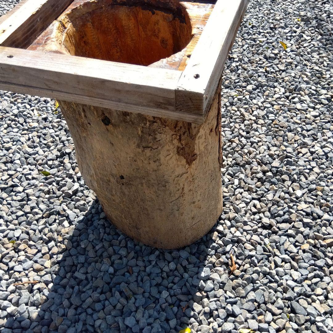 木製昆虫採集道具