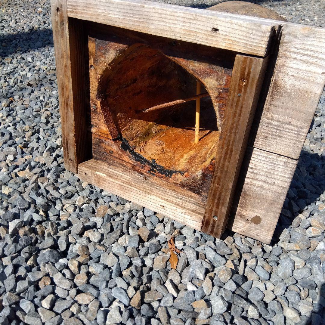 木製昆虫採集道具