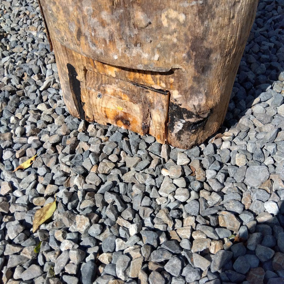 木製昆虫採集道具