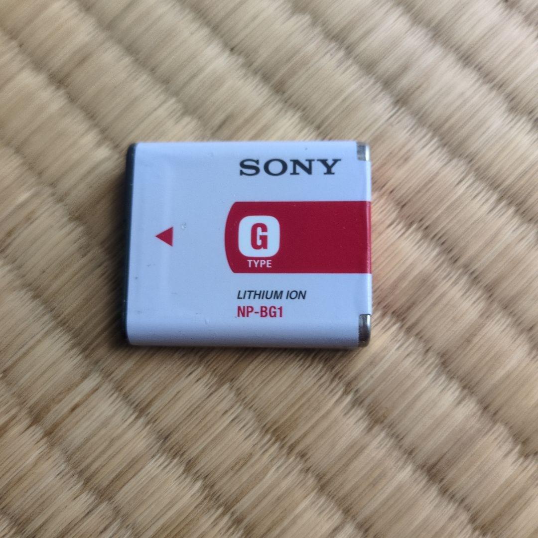 Sony Cyber-shot DSC-W200　バッテリーおまけ　平成