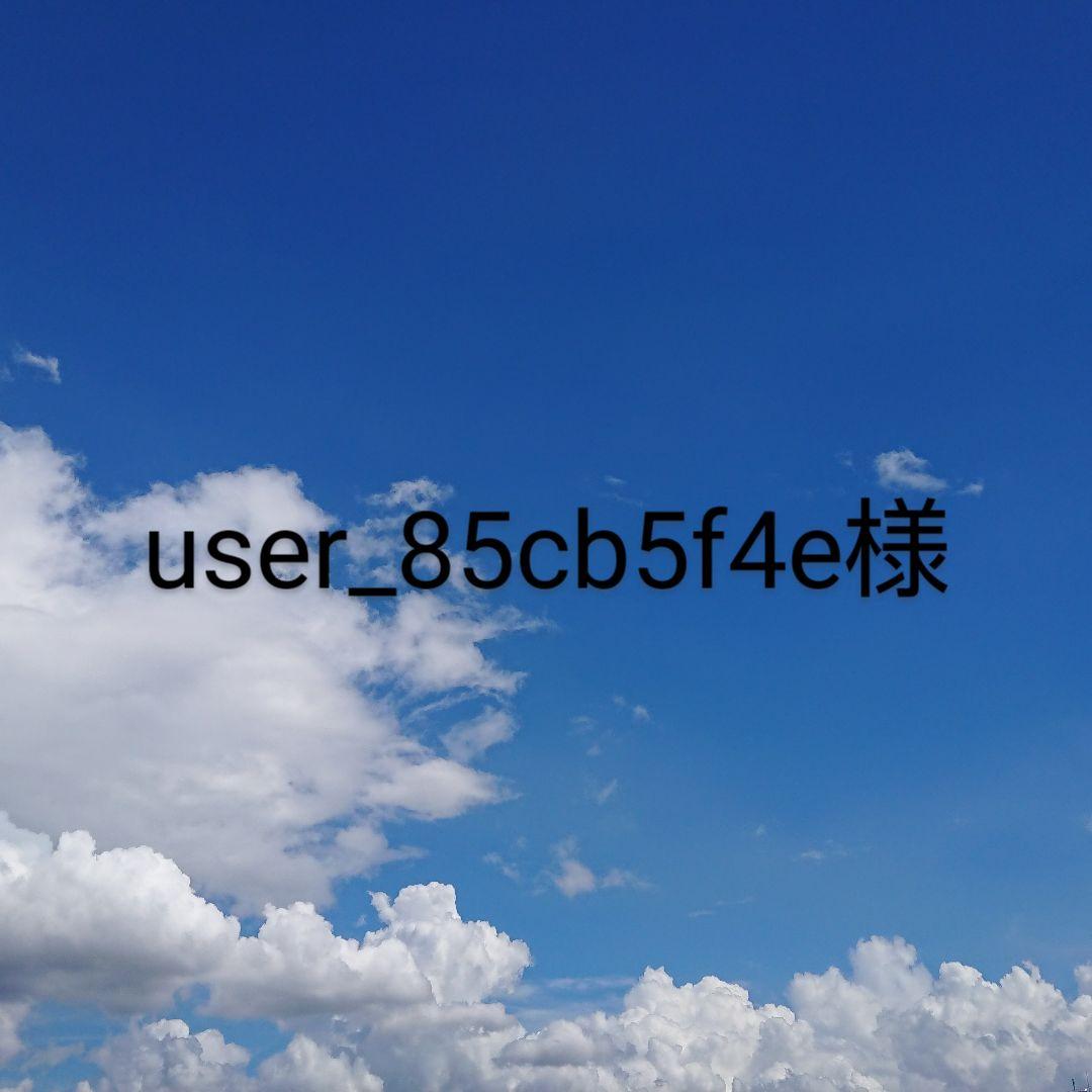 user_85cb5f4e様　ブローチ3点