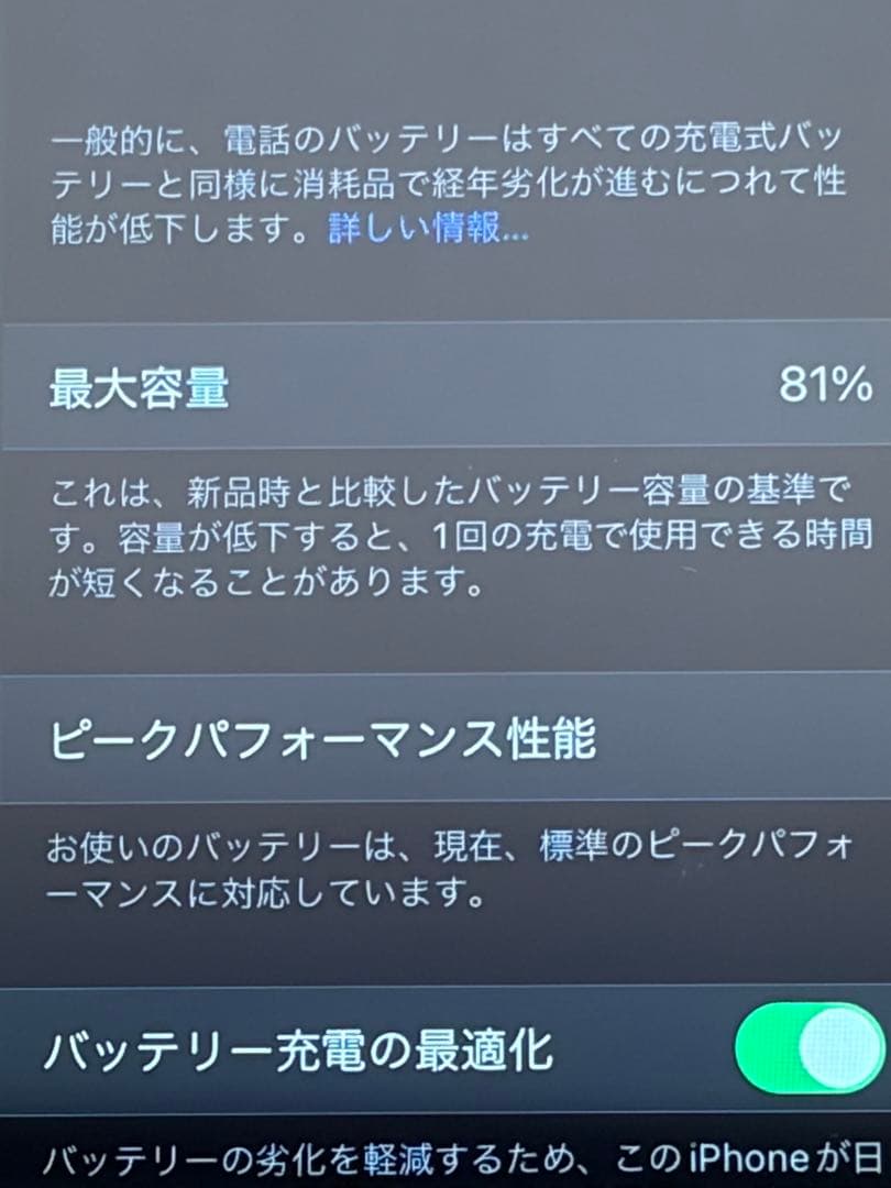 iPhone SE 第1世代 64GB グレイ 箱 付属品あり バッテリー81%