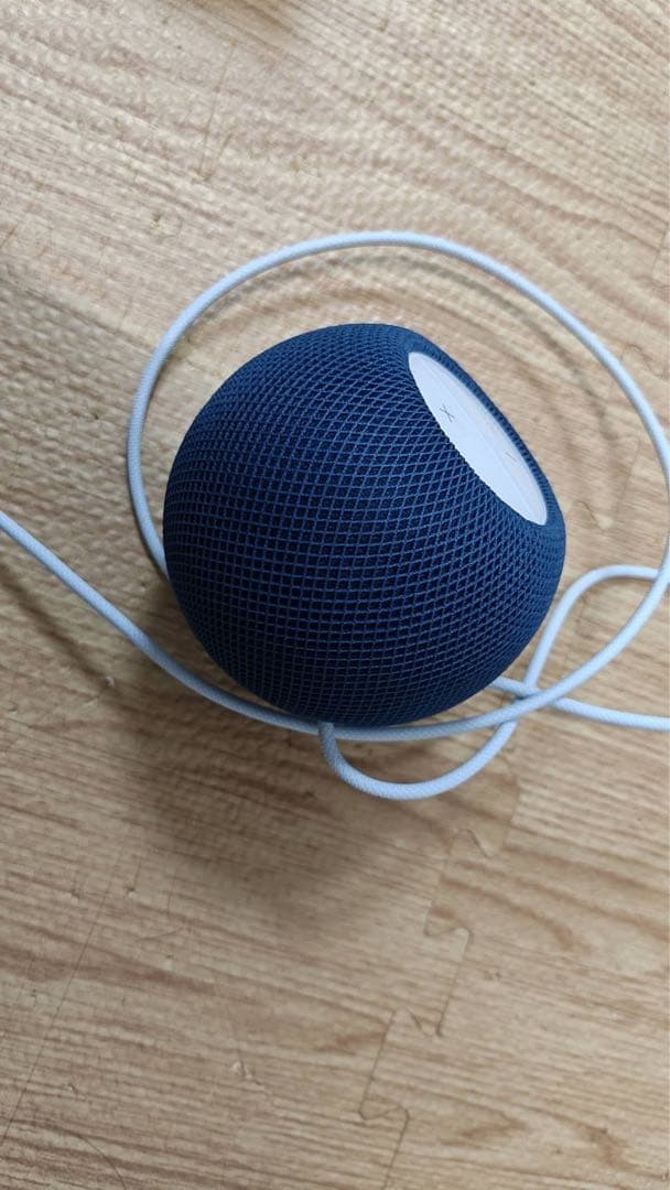 Apple Pod Mini ネイビー