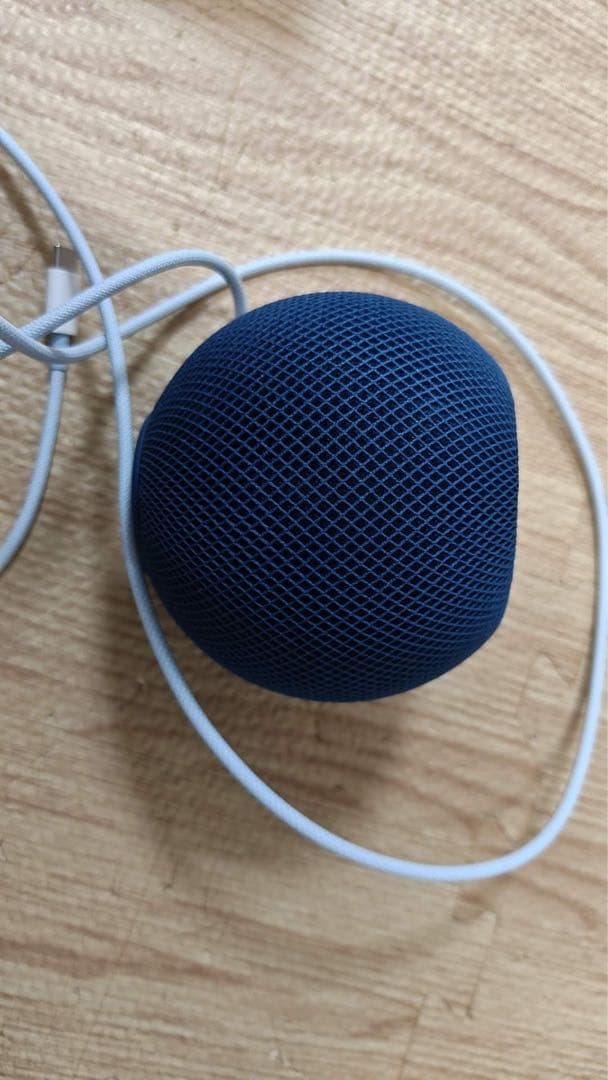 Apple Pod Mini ネイビー