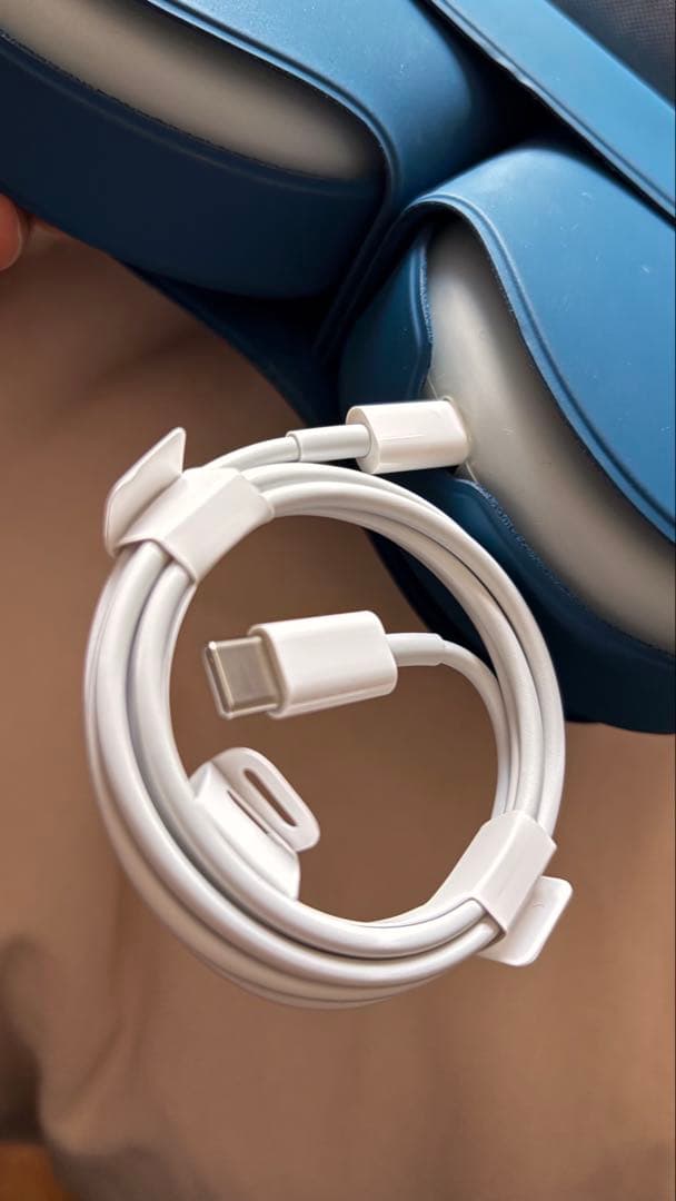 イヤホン Apple AirPods Max (A2096)
