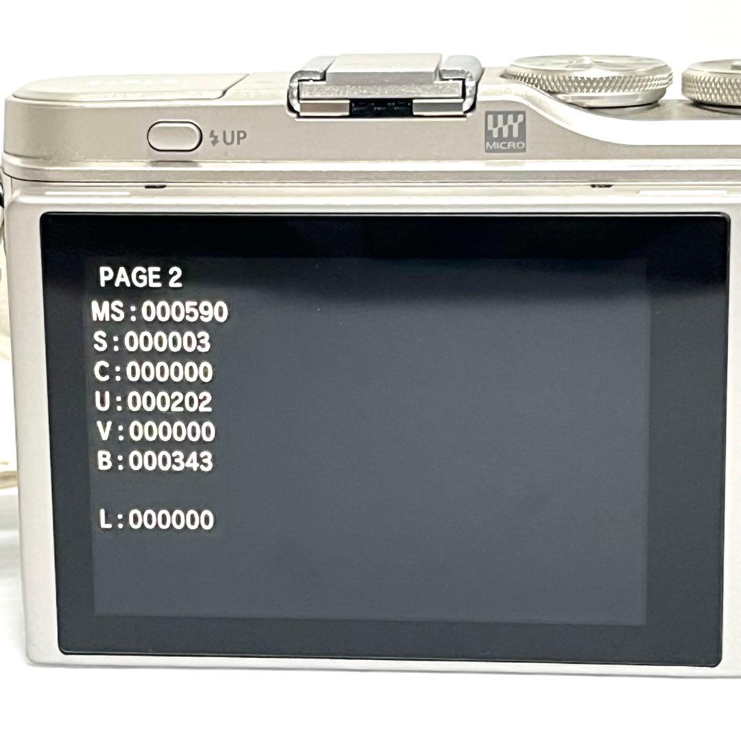 極上美品【ショット数590回】PEN E-PL9 レンズキット OLYMPUS