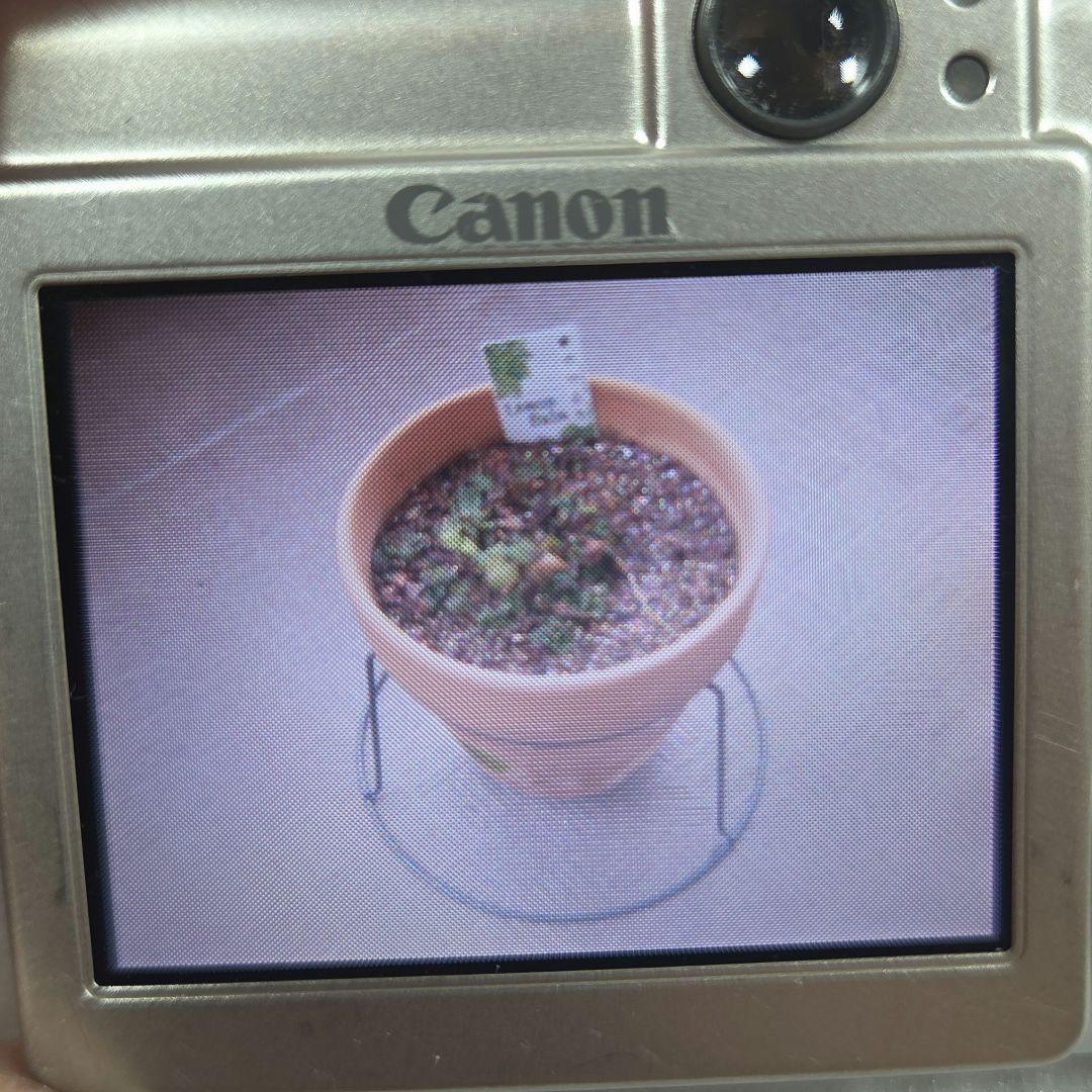 Canon IXY DIGITAL 50 シルバー　コンデジ