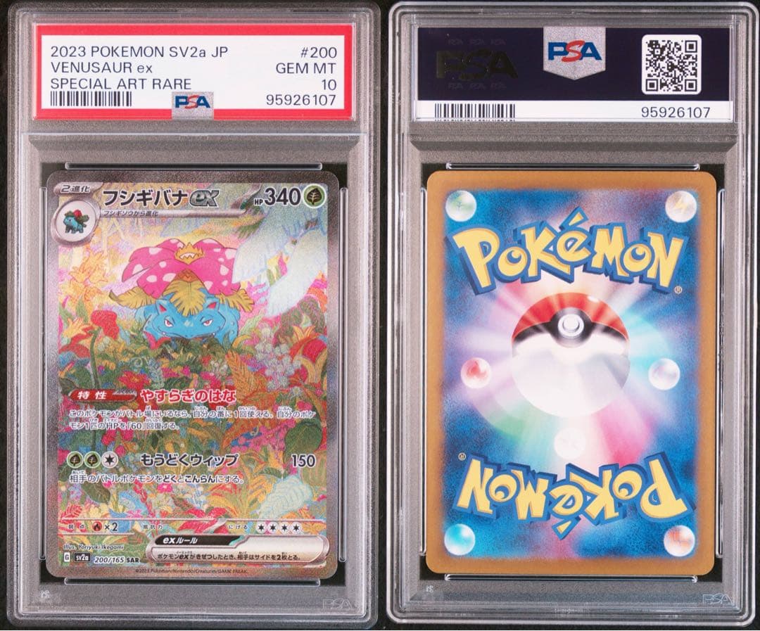 【PSA10】リザードン フシギバナ カメックス 御三家 sar ar