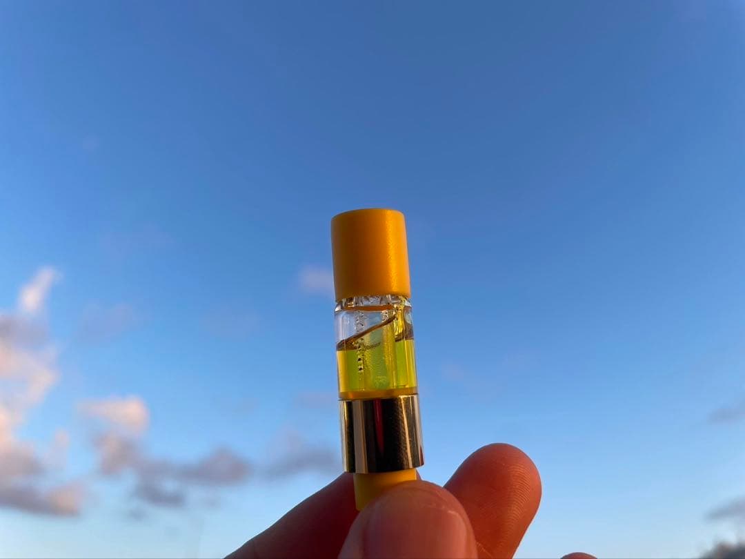 【Sativa】 Jack Herer 1ml CBD 12