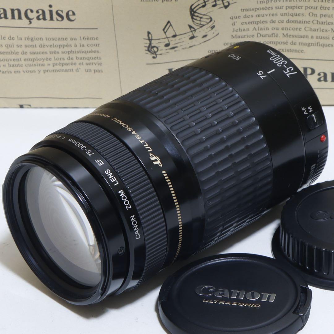 ◇超望遠&高速AF◇Canon純正 75-300mm I型 超望遠レンズ!!◇