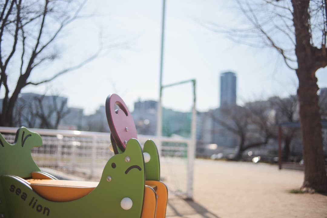 レンズ(単焦点) LEICA SUMMICRON-R 35mm 3CAM