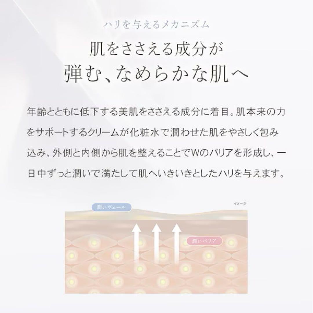 どらめちゃん LUREAQU ALLTIME CREAM 50g ✖️4本