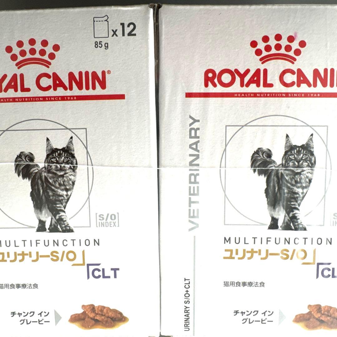 ロイヤルカナン　ユリナリーS/O CLT　猫用パウチ