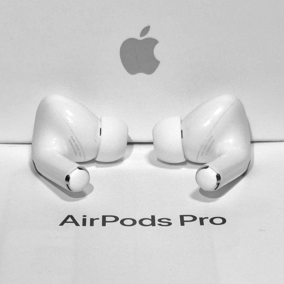 【綺麗】Apple AirPods Pro 第2世代 USB-C イヤホンのみ