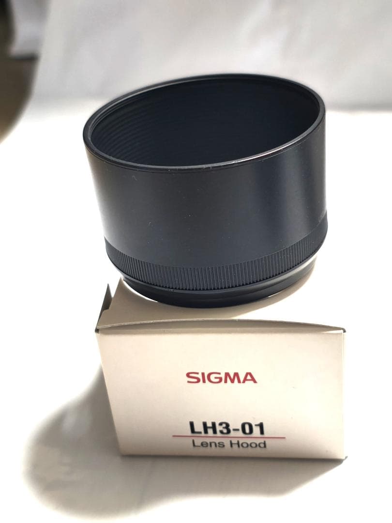 SIGMA DP3 Merrill 、純正フード、ボディースーツ 、フィルター等
