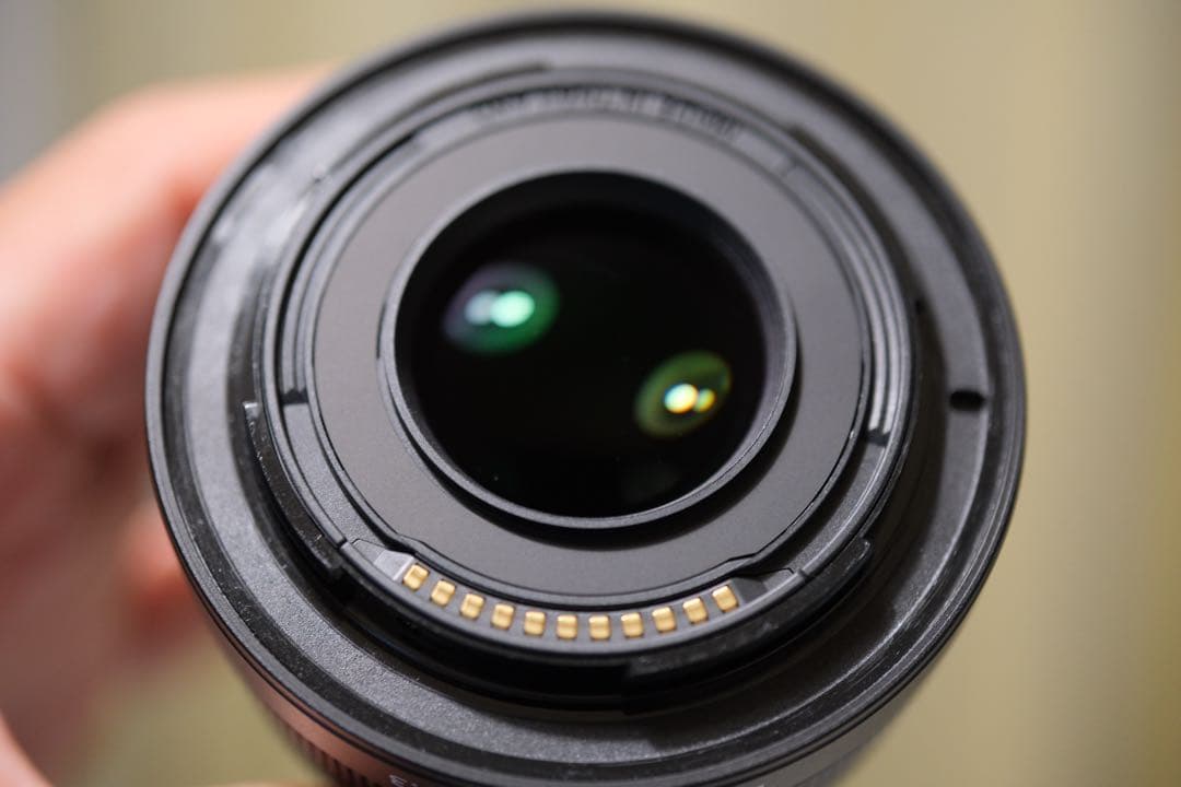 Nikon Zfcボディ　DX16-50mm f3.5-6.3ズームレンズ