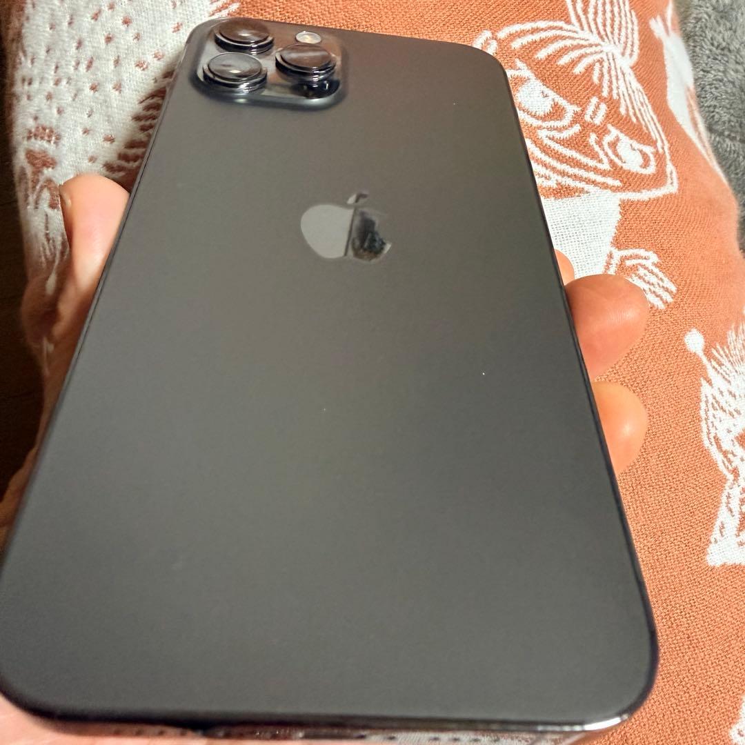 【美品】iPhone 12 Pro Max 256GB グラファイト おまけ付き