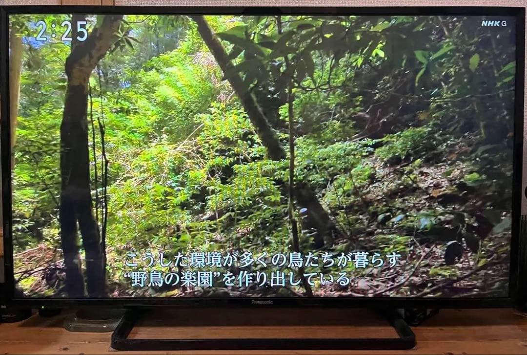 【主婦長田】Panasonic TH-43E300 43インチテレビ