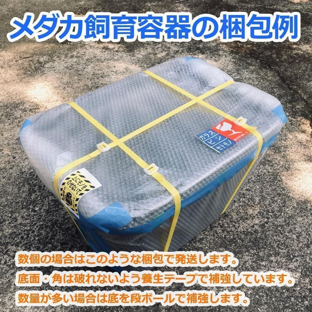 【4月値上予定】メダカ飼育ケース 60㍑トロ舟x5個 オーバーフロー 金魚飼育