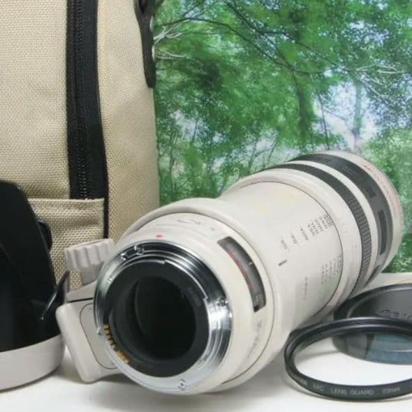 ☆光学超美品の白レンズ♪canon EF 35-350mmL F3.5-5.6☆