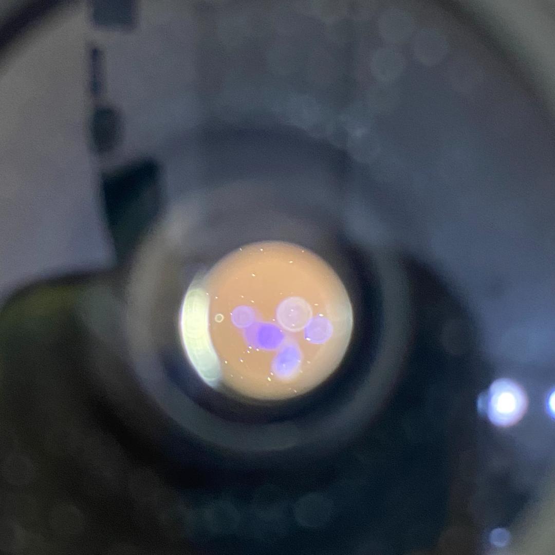 Super Angulon M21mm f3.4 1964年製 メンテナンス済み