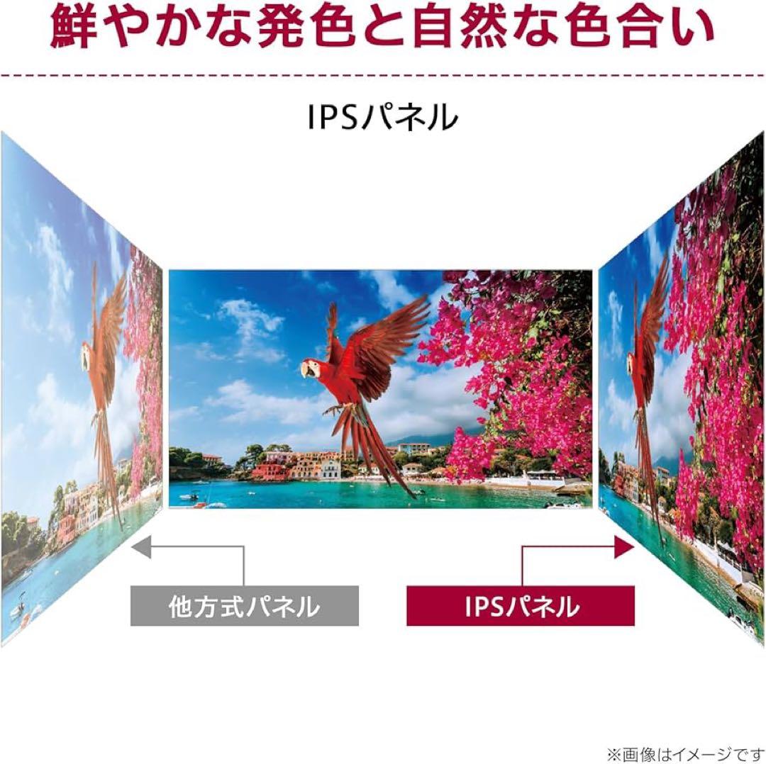 LGモニター 25MS550-B（24.5インチ FHD 100 Hz)）