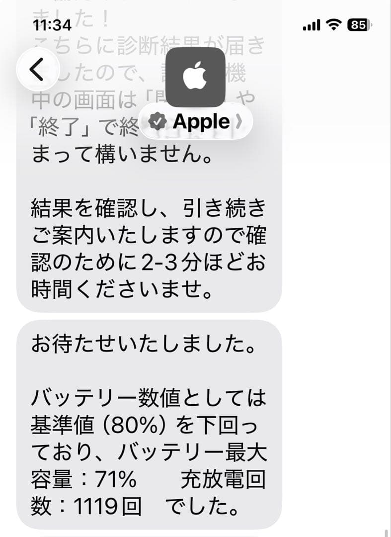 iPad mini 第4世代 32GB WiFi +セルラー 美品 容量71%