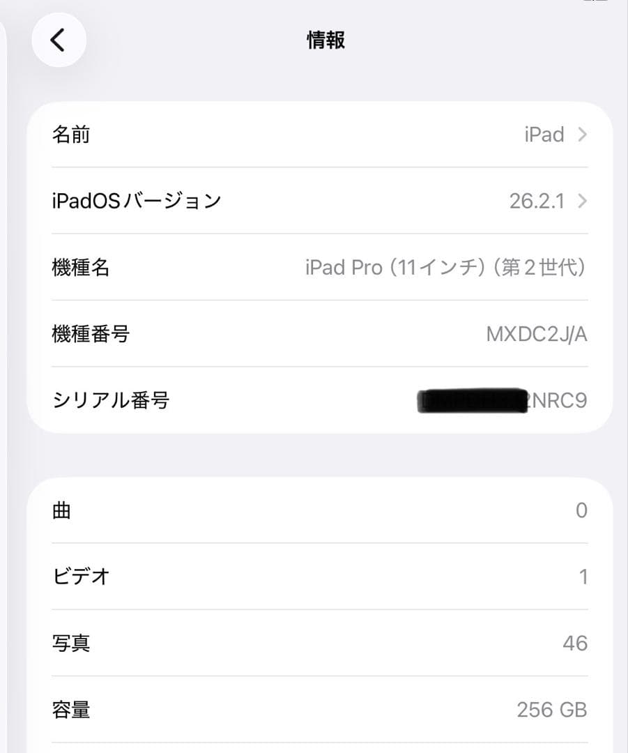 iPad Pro 11インチ 第2世代 256GB WIFIモデル