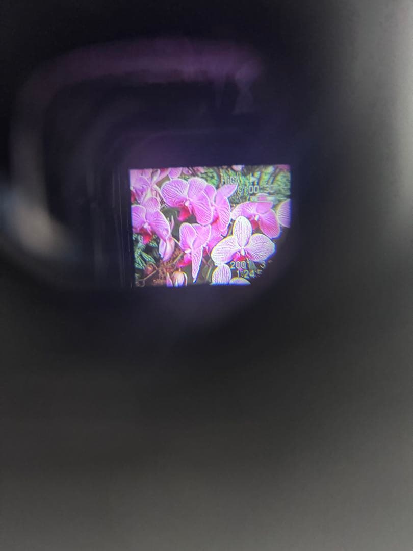 SONY Handycam CCD-TR3000 ビデオカメラ