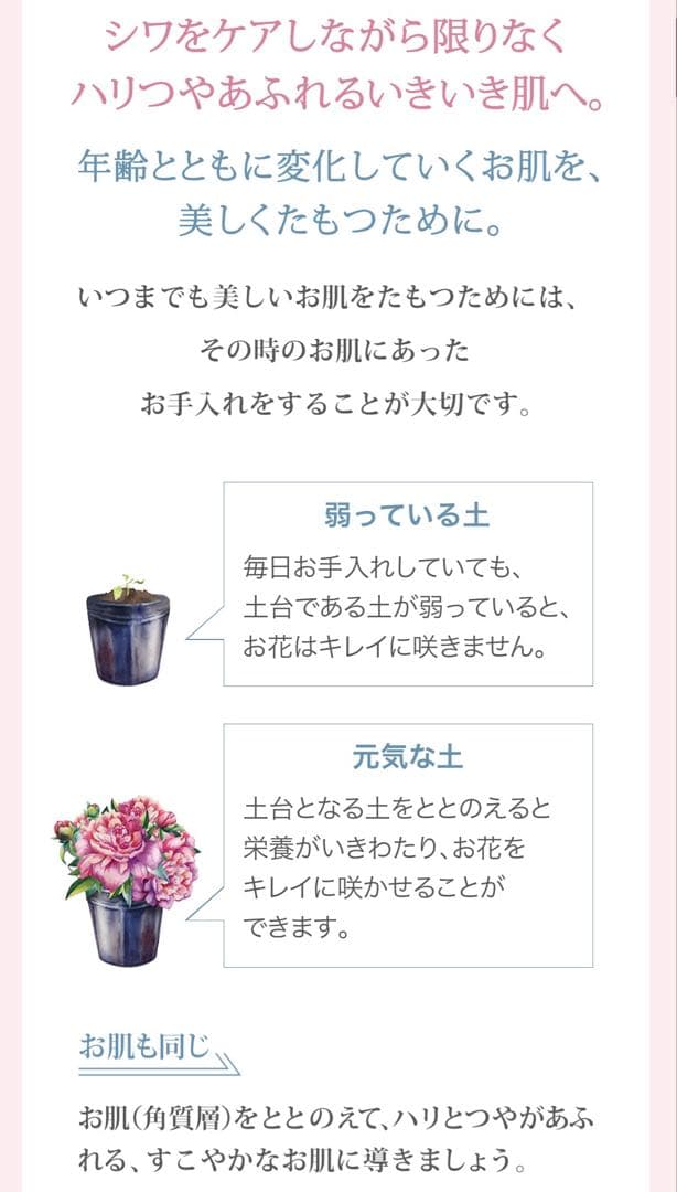 ヤクルト　PARABIO AC MILK I 乳液