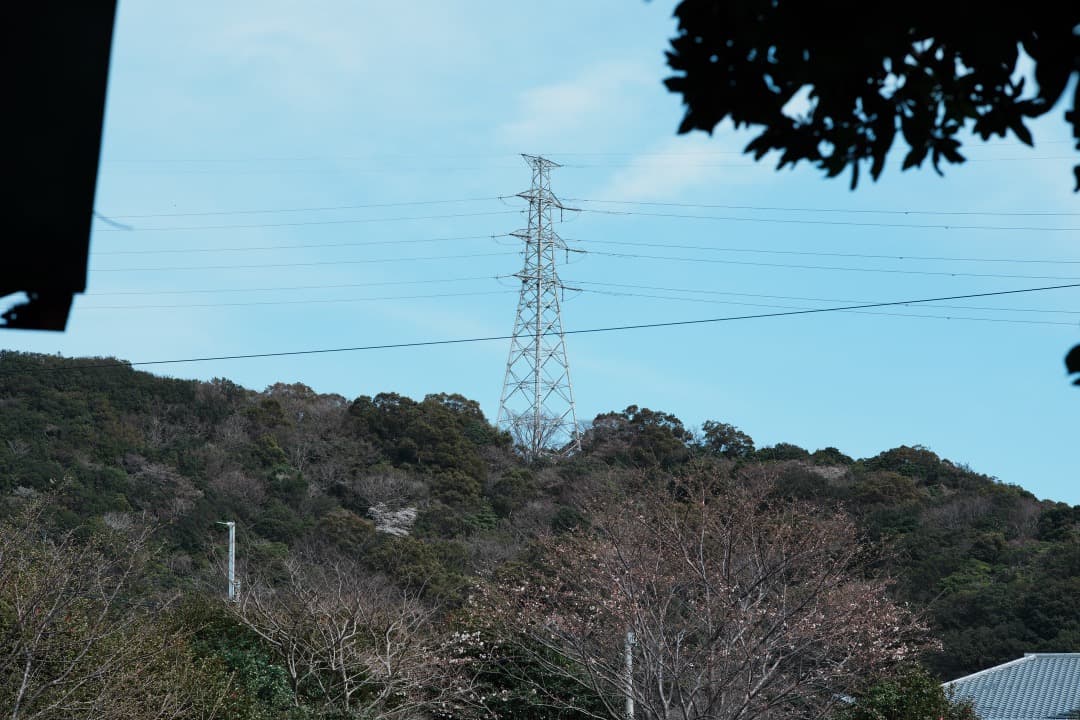 【バランス】動作◎ ニコン Ai Nikkor 85mm F1.8 397