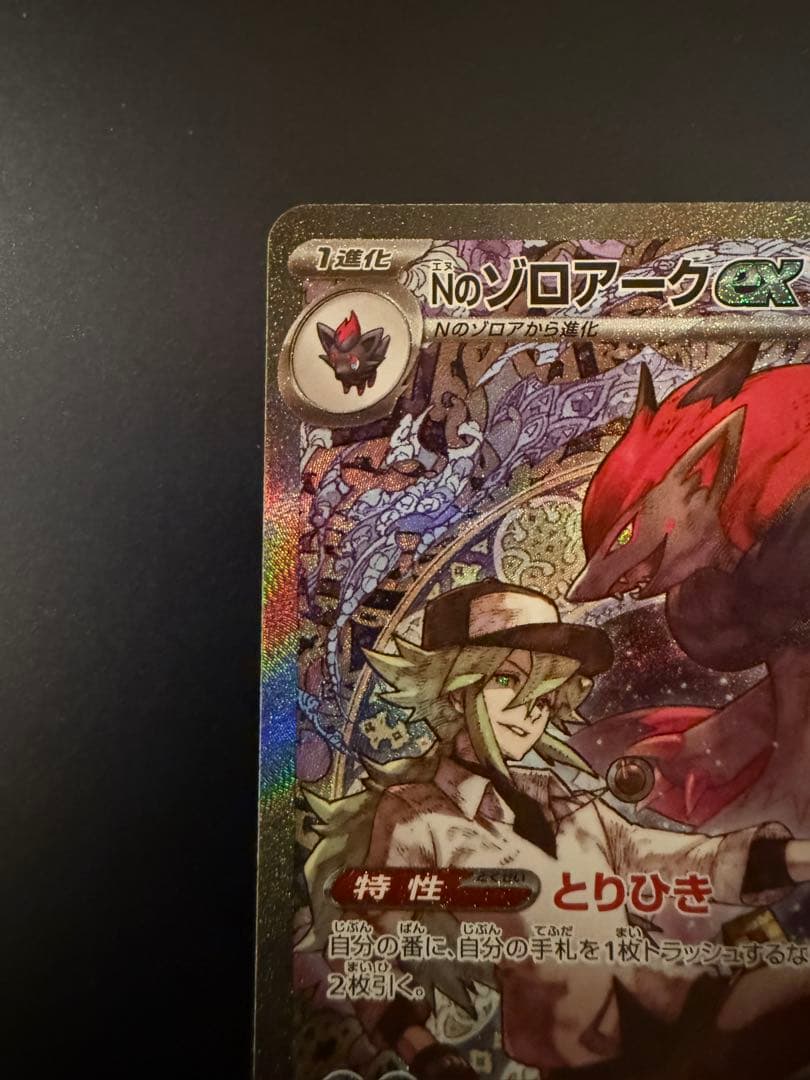 ポケモンカード Nのゾロアークex SAR 【242/193】