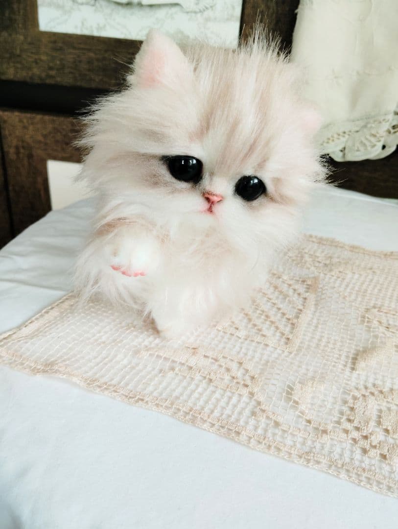 可愛いホイップちゃん♡ミヌエット子猫♡アートドール♡ぬいぐるみ♡