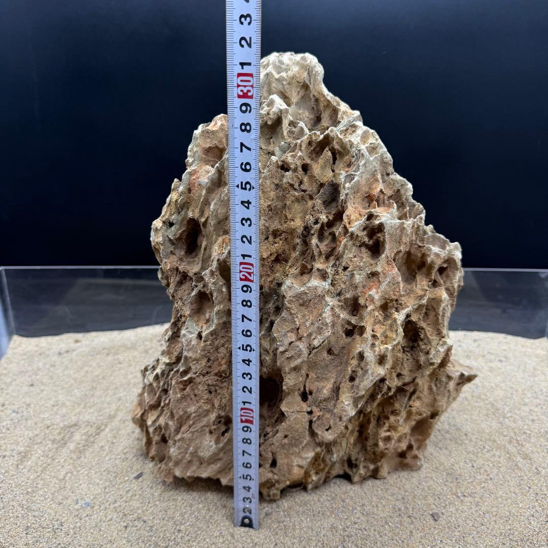MQS-6873 特大気孔石1点物　32cm 黄虎石　水槽用石　アクアリウム