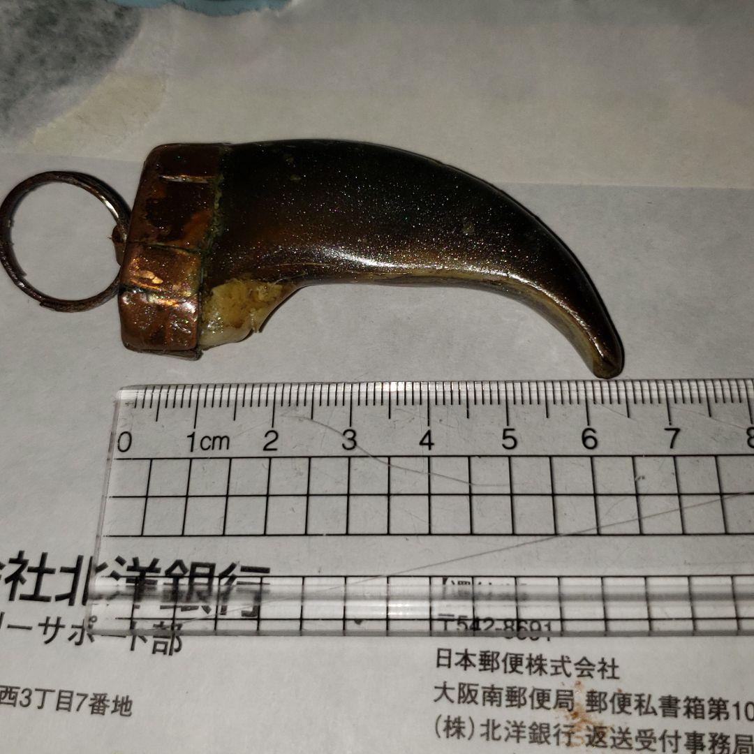 熊の爪　キーホルダー
