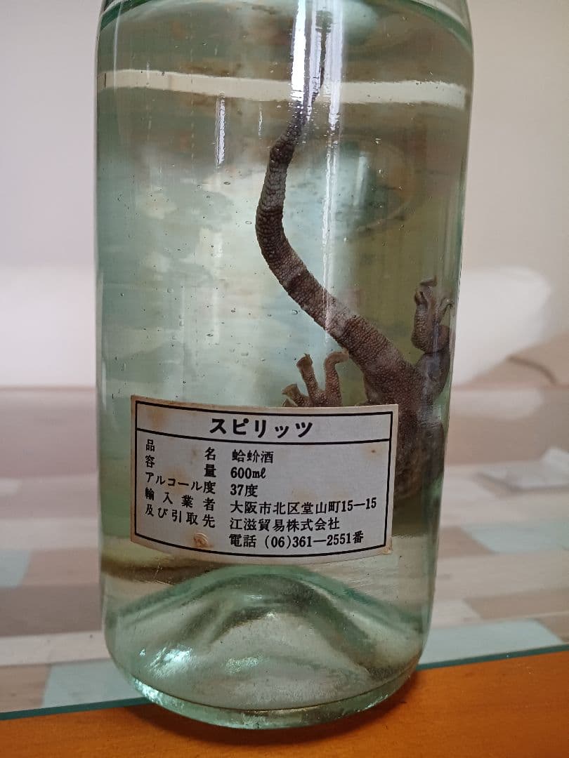 希少❗ 蛤蚧酒 中国酒 珍品 古酒 貴重 白酒 紹興酒