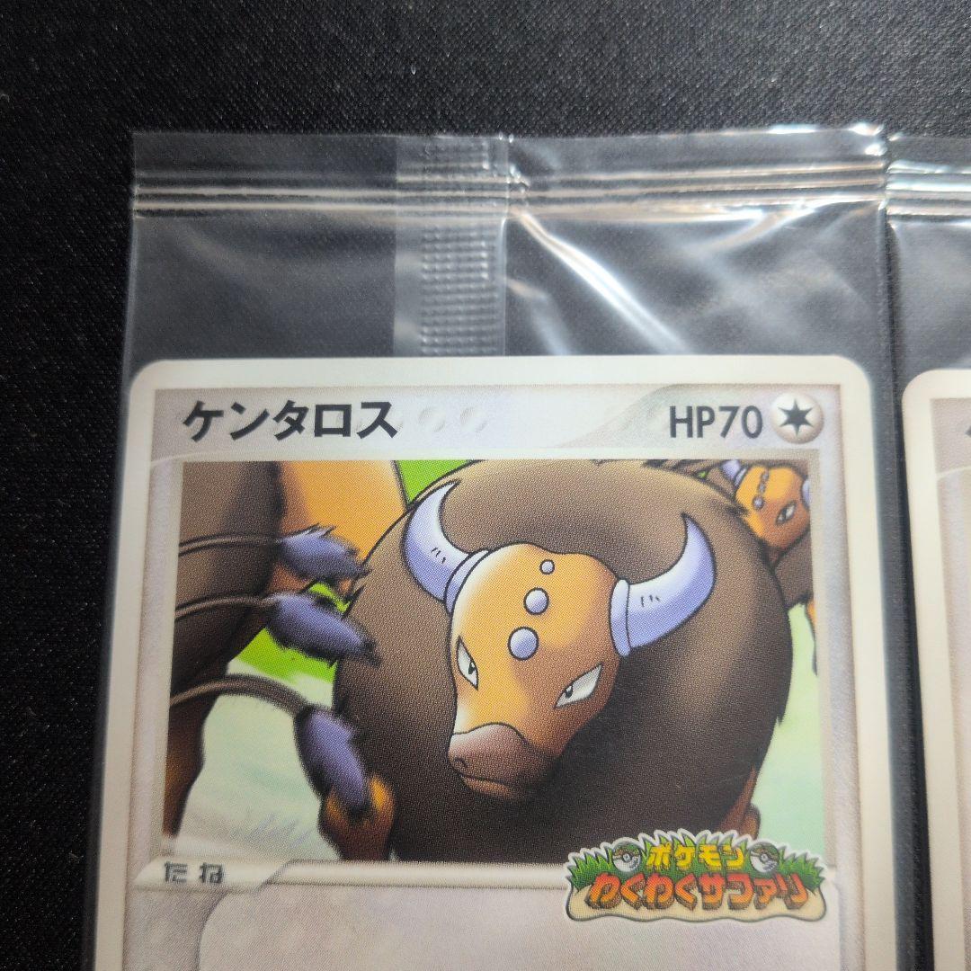 ケンタロス ポケパーク ポケモンカード　未開封　プロモ　2枚セット