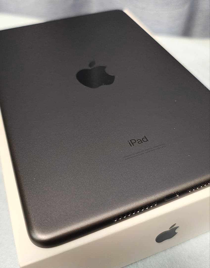 【美品】Apple iPad mini 第5世代 64GB A2133