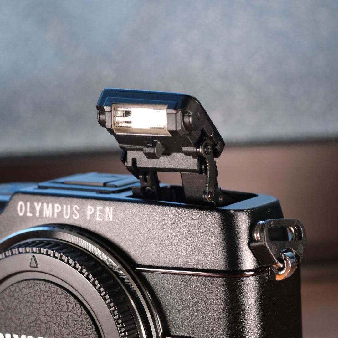 OLYMPUS オリンパス PEN E-P5 ボディ プレミアムモデル 美品