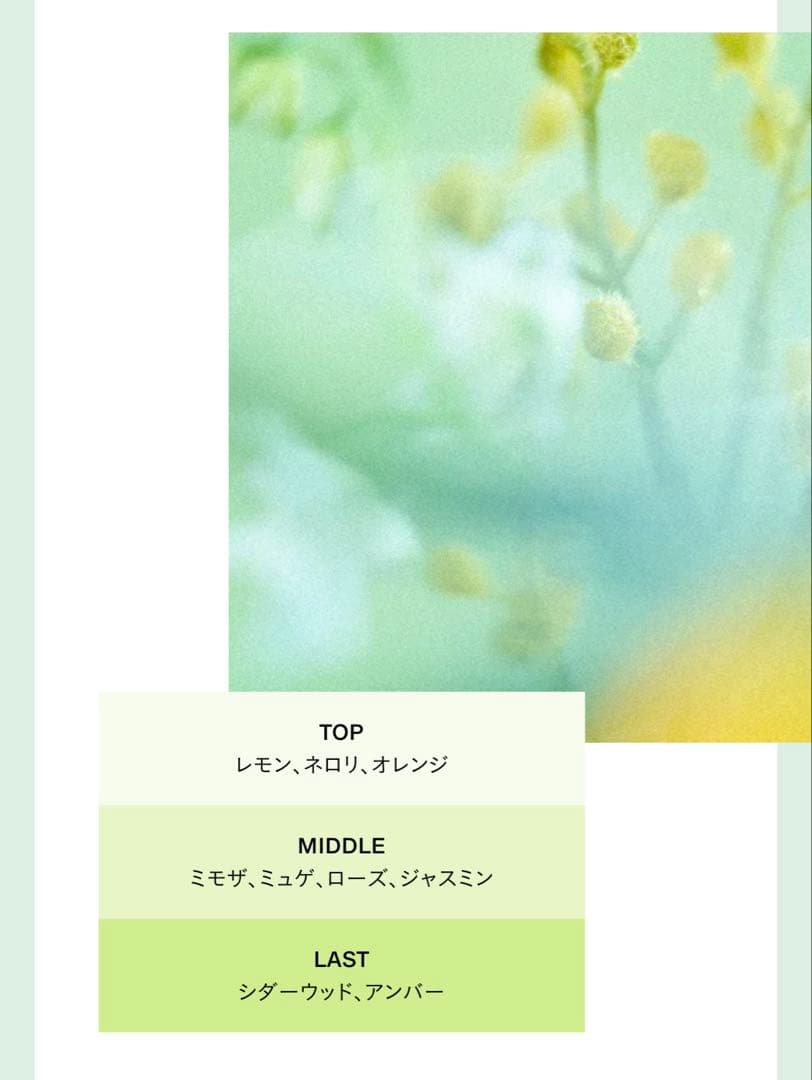 SEE SAW ☆2026 春限定 シャンプー＆トリートメントセット(ᵔᴥᵔ)