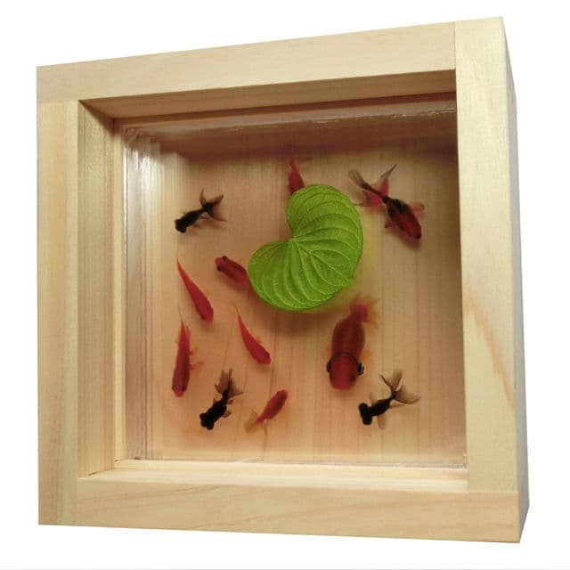 ヘッドホン 金魚 アート 楽 プリザーブドフラワー 還暦 プレゼント 音楽 開運