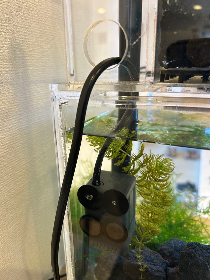 45cmガラス水槽用 上部濾過式アクアリウム水槽　アクアポニックス仕様